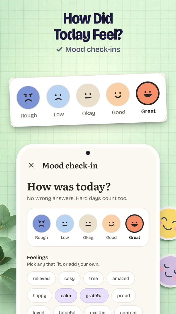 How Did Today Feel?: The mood check-in: five moods from Rough to Great.